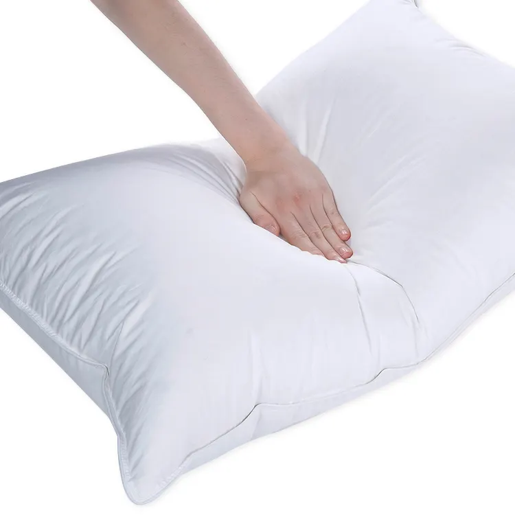 Promotion Hotel Hilton Home 1000G Natural Insert 100% Goose Down Pillow