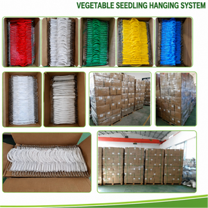 Crochet de suspension <span class=keywords><strong>en</strong></span> acier galvanisé haute résistance pour tomates, concombres, fruits et légumes <span class=keywords><strong>en</strong></span> serre - Product Image 5