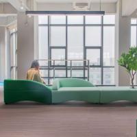 Ensemble de canapés sectionnels incurvés modernes avec structure en bois massif, écologiques, pour la maison, le bureau, le salon, l'appartement, l'hôtel, utilisation commerciale