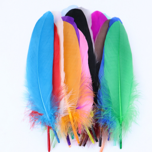 Vente en gros DIY Chapeaux de carnaval Plumes d'oie Décoration Plumes pour fête Enfant Vêtements <span class=keywords><strong>Accessoires</strong></span> Plumes blanches Vente <span class=keywords><strong>pas</strong></span> <span class=keywords><strong>cher</strong></span> - Product Image 3