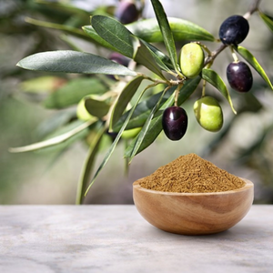 Fabrikverkauf: Lebensmittelqualität Oleuropein-Pulver 32619-42-4 Olivenblattextrakt in Großgebinden für Nahrungsergänzungsmittel, Kapseln und Tabletten - Product Image 1