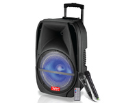 Haut-parleur audio portable intelligent et économique à LED, OEM, pour studio, discothèque, home cinéma, PA ACTIVE PRO, simple, 15 pouces, BT, USB, ROHS