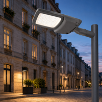 Lampe de rue LED haute efficacité 190lm W IP66 IK10 pour éclairage extérieur de routes et autoroutes, installation flexible