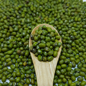 Fresh Harvest Whole Indian Green Moong <b>Beans</b> High Quality Natural Pulses 24-Month Shelf Life for Global Food Ingredient Markets - Product Image 1