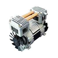 Pompe à piston sans huile silencieuse 1.3 m/h pour District Energy Pronotek PNK PP 200C 120W 220V basse pression