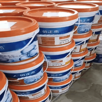 Peinture imperméable transparente Merys de haute qualité Application extérieure Nano revêtement