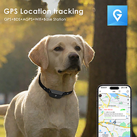 Dispositif Anti-Perte Usine pour Animaux de Compagnie Chat Chien, Localisation en Temps Réel, Traceur Intelligent GPS, Collier de Suivi pour Animaux, OEM&ODM