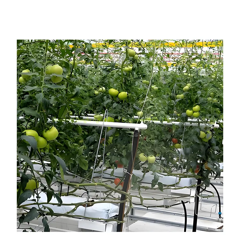 Sistema di coltivazione stereoscopico macchina idroponica per sementi di ortaggi a effetto serra impianto di coltura di Soiles torre di ananas