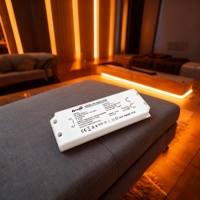 Driver LED dimmable 30W IP20 sans scintillement CV Triac/0-10V/1-10V/10V PWM/Rx pour bande LED 100-240V AC-DC 12V/24V/48V