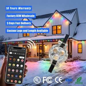 30MM UCS2904 Rgbw 3 Led <b>Point</b> <b>Lights</b> 12V 24V 36V IP68 Permanent Outdoor Christmas Lighting for Building - Product Image 1