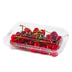Transparente Einweg-Salat boxen Kunststoff Obst behälter Supermarkt Obst behälter Kunststoff behälter für Trocken früchte
