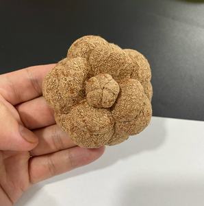 Haut de gamme 6.6cm Nibu Super-forme fleur camélia broche broches petite fleur parfumée bijoux Corsage plaqué alliage Plus broche - Product Image 5