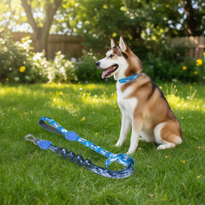 สายจูงสุนัขแบบมีโช้คอัพ Ammortizzato 2.0 H3D Fly Dog Leash ลายสีฟ้า สำหรับพาสัตว์เลี้ยงเดิน - Product Image 3