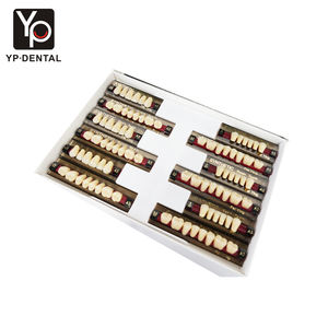 YP ฟันปลอมอะคริลิคสำหรับทันตกรรมชุดฟันด้านหน้าและด้านหลังฟัน16สี28ชิ้น - Product Image 5