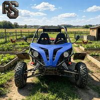 Buggy utilitaire professionnel Raxen 200cc, refroidissement liquide, 4 temps, 75 km/h, automatique, pour adultes, course en plein air, location