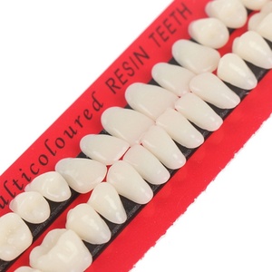 Prótesis Dentales Prácticas para Laboratorio Dental o Uso Educativo - Product Image 3