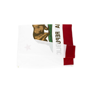 工厂批发定制印刷啦啦队健身房奖励促销旗帜定制旗帜 - Product Image 5
