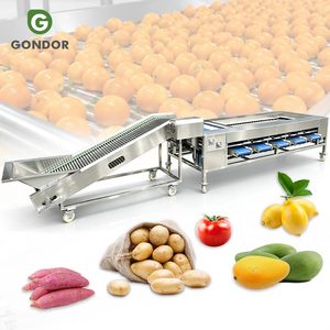 Máquina de clasificación, limpieza, encerado y lavado para patatas, aguacates, nueces de areca, tomates, zanahorias, frutas secas y productos de secado artificial - Product Image 1
