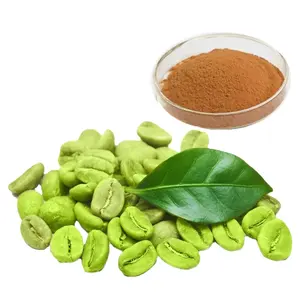 Hot sale Kosher & Halal Pure Green Coffee Bean Extract