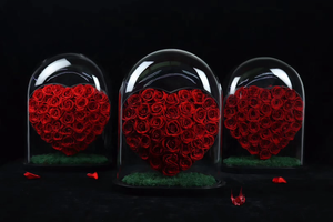 ซัพพลายเออร์ทองคำ เกรด A ขายส่ง ดอกกุหลาบคงทน ดอกกุหลาบอบแห้งในโดมแก้ว รูปทรงหัวใจ - Product Image 2