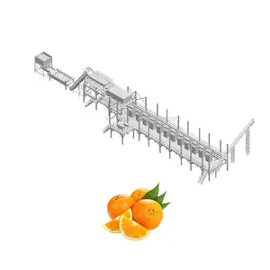 Orangenkonzentrat-Saft-Produktions linie Orangenöl-Verarbeitung linie Zitrussaft-Extraktion maschine