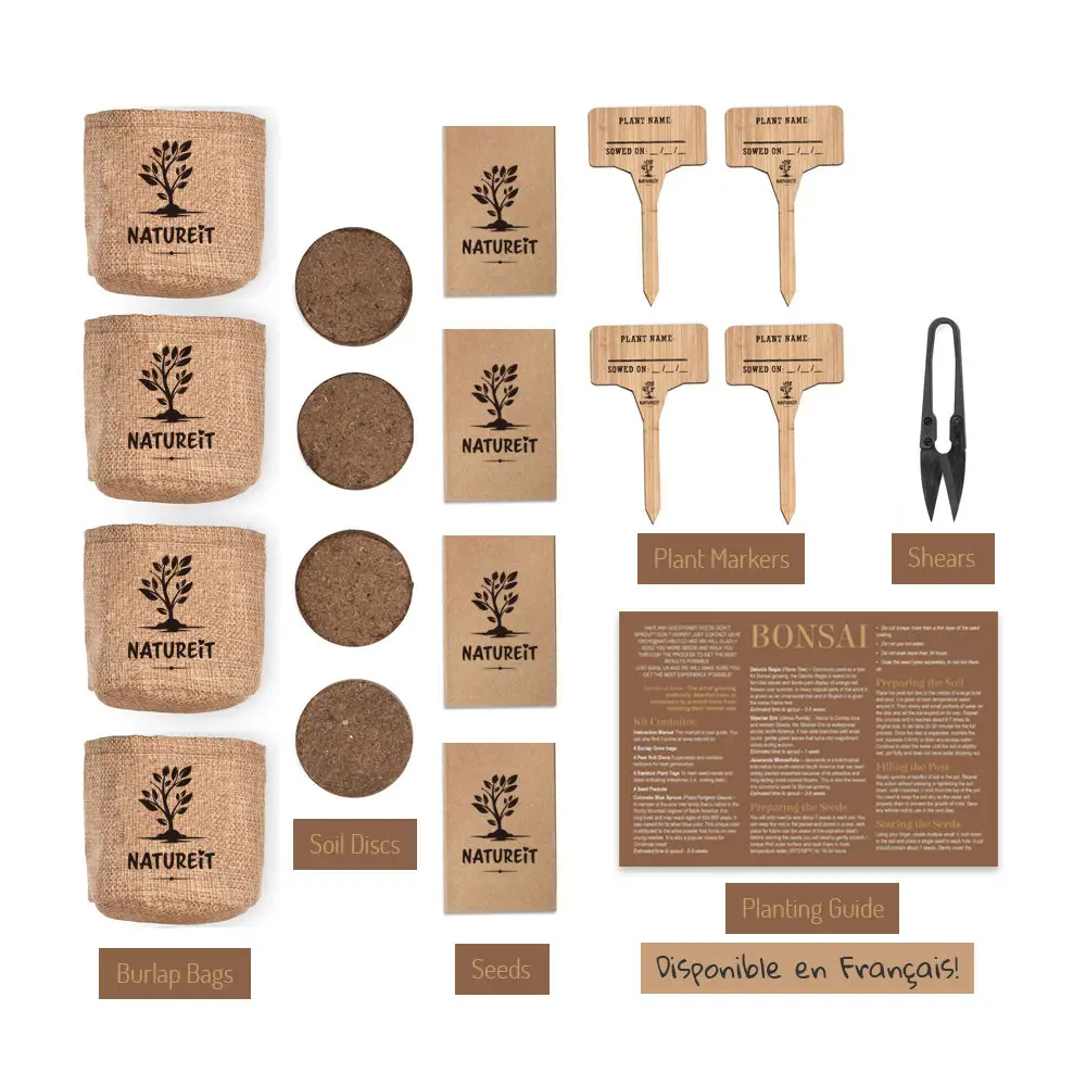 Fabrication de boîte cadeau en bois unique certificat ISO kit de culture hydroponique kit d'outils de jardin pour enfants bonsaï arbre fil