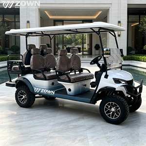 Voiturette de golf électrique 2 places, couleur personnalisée, tout-terrain, pour club et parc - Product Image 1