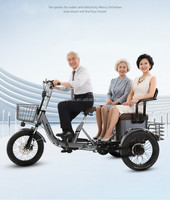 Tricycle électrique pliable pour personnes âgées et enfants, 2 places, moteur 48V 650W, panier avant/arrière, trike électrique de loisirs pour passagers