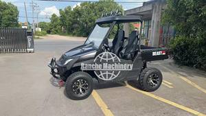 Vente d'usine - Buggy à quatre roues 250cc pour adultes, homologué pour la route, Jeep Willys électrique pour transport spécial - Product Image 5