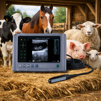Appareil d'échographie vétérinaire étanche pour la détection de gestation chez les porcs et les bovins