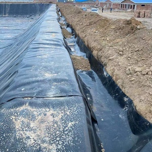 Bâche de bassin HDPE LDPE LLDPE PVC <span class=keywords><strong>EPDM</strong></span> 1mm 1.5mm 2mm Écologique Imperméable pour Bassin à poissons, Barrage, Dépose de déchets, Biodigesteur, Géomembrane - Product Image 1