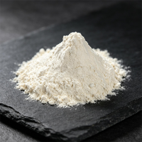 Farine de haricot mungo 100 mesh de qualité supérieure, directement de l'usine, pour porridge instantané et substitut de repas