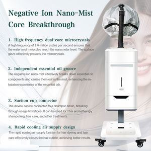 Wholesale Stainless Steel 2in1 Hair Facial Spa Steamer Nano Negative Ion Mist <b>Machine</b> Hair Care Device - Product Image 6