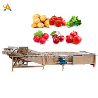 Fabriek die machines voor het reinigen en steriliseren van groenten en fruit levert