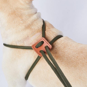 Correa de cuerda de cuero PU de nailon para perros, correa de entrenamiento para perros, correas antideslizantes duraderas para perros, correas para mascotas - Product Image 2