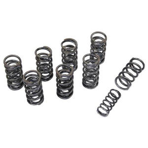 Aanpassen Van Roestvrij Staal <span class=keywords><strong>302</strong></span> Compressieveer Cilindrische Vorm, Gesloten, Grondeinde - Product Image 5