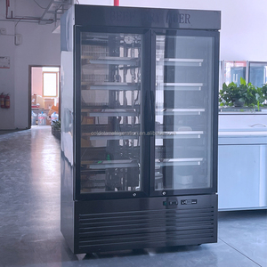 COLDSTAR - Gabinete de Maduración en Seco con Ventilador y Temperatura Única de 1000L para la Maduración de Carne de Res y Cordero en Cocinas de Restaurantes - Product Image 2