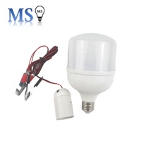 OEM DC 12 Volt Faible Alimentation Plastique Grande Ampoule à Économie en Forme de T Lampe DC 12 v 24V Ampoule à LED pour le Marquage de Nuit en Camping