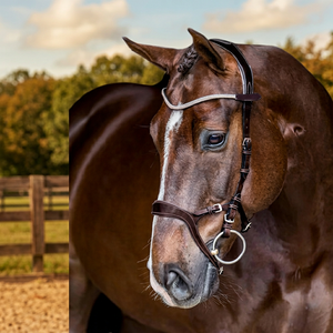 Best Selling Horse Racing Equestrian Leather English Polo Saddle Competition Bridle Black Rambo Micklem Diamond Pearl Decoration - Product Image 2
