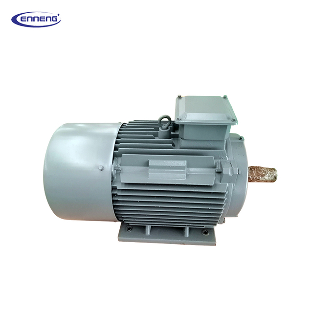Enneng Neodymium Magnet Electric Wind Generators 25kw 40kw for Sale in the Philippines