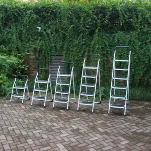 Household 3/4/5/6 Steps Foldable Steel Ladder Foldable Step Steel Ladder