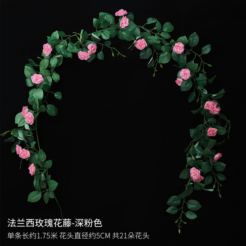 Vigne rose française rose foncé