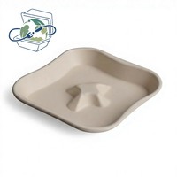 Barquette pour fruits verts en pulpe recyclable moulée par pressage humide, impression personnalisée, finition givrée, emballage biodégradable, plateau intérieur