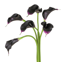 Fait à la main petit toucher réaliste artificiel Calla Lily doux EVA tige unique mariage décor à la maison pour Thanksgiving saint valentin