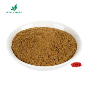 Üretici toptan organik Wolfberry özü kurt üzümü meyve tozu Lycium Barbarum özü - Product Image 3