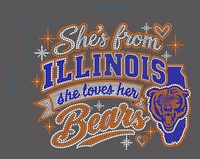 Transfert thermocollant en strass motif 'Bear Down' pour vêtements, design 'She's From Illinois' en cristal brillant à fixation à chaud