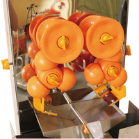 Automatische citruspers voor aanrechtblad, 40 sinaasappels/min, 370W, heavy-duty, voor café