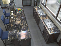 Granit noir or cosmique, comptoir, qualité supérieure, prix en relief
