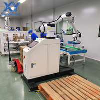 Système de palettisation collaboratif automatique, Palettiseur de boîtes compact, Machine d'empilage de cartons pour l'emballage en fin de ligne