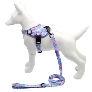 Conjunto de arnés y correa para perro con estampado Floral de lujo, chaleco de poliéster a la moda para Teddy Bichon, equipo para caminar al aire libre, conjunto al por mayor - Product Image 3